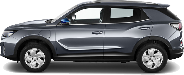 e-Motion 5-дверный SUV с 2021 по 2023 рейлинги