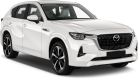  5-eshik SUV с 2022 oddiy joylar