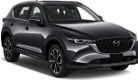  5-дверный SUV с 2016 интегрированные рейлинги