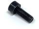 Screw M6 (16mm) (2 pcs) 31304 (Rapid 753, 7531)